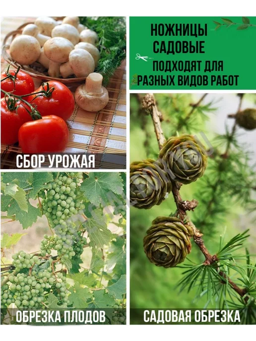 SPECIAL FOR YOU Ножницы садовые механические секатор для дачи и растений, красный, фото 2