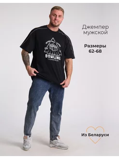 Футболка хлопковая Свiтанак 210393450 купить за 840 ₽ в интернет-магазине Wildberries