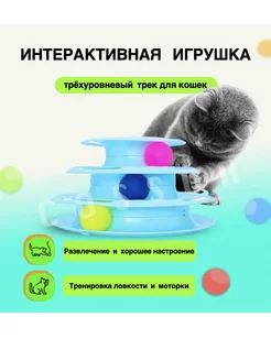 Игрушки для кошек трек интерактивный Игрушки для кошек 210394368 купить за 555 ₽ в интернет-магазине Wildberries