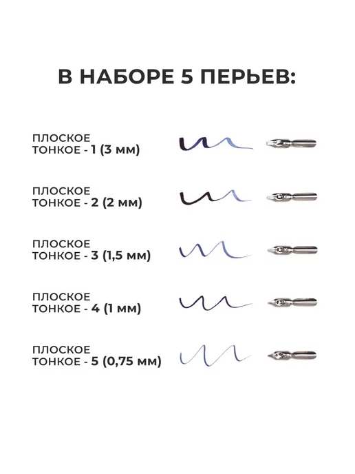 Малевичъ Перья каллиграфические набор для рисования 5шт, 5 шт, фото 2