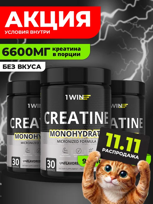 1WIN Креатин моногидрат чистый микронизированный, без добавок, набор