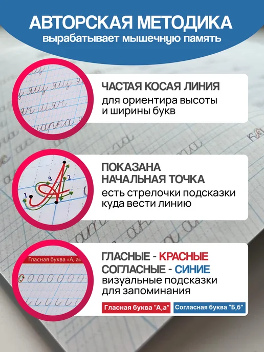 Новые горизонты Комплект обучающих прописей тренажер письма школьников, вариант, фото 4