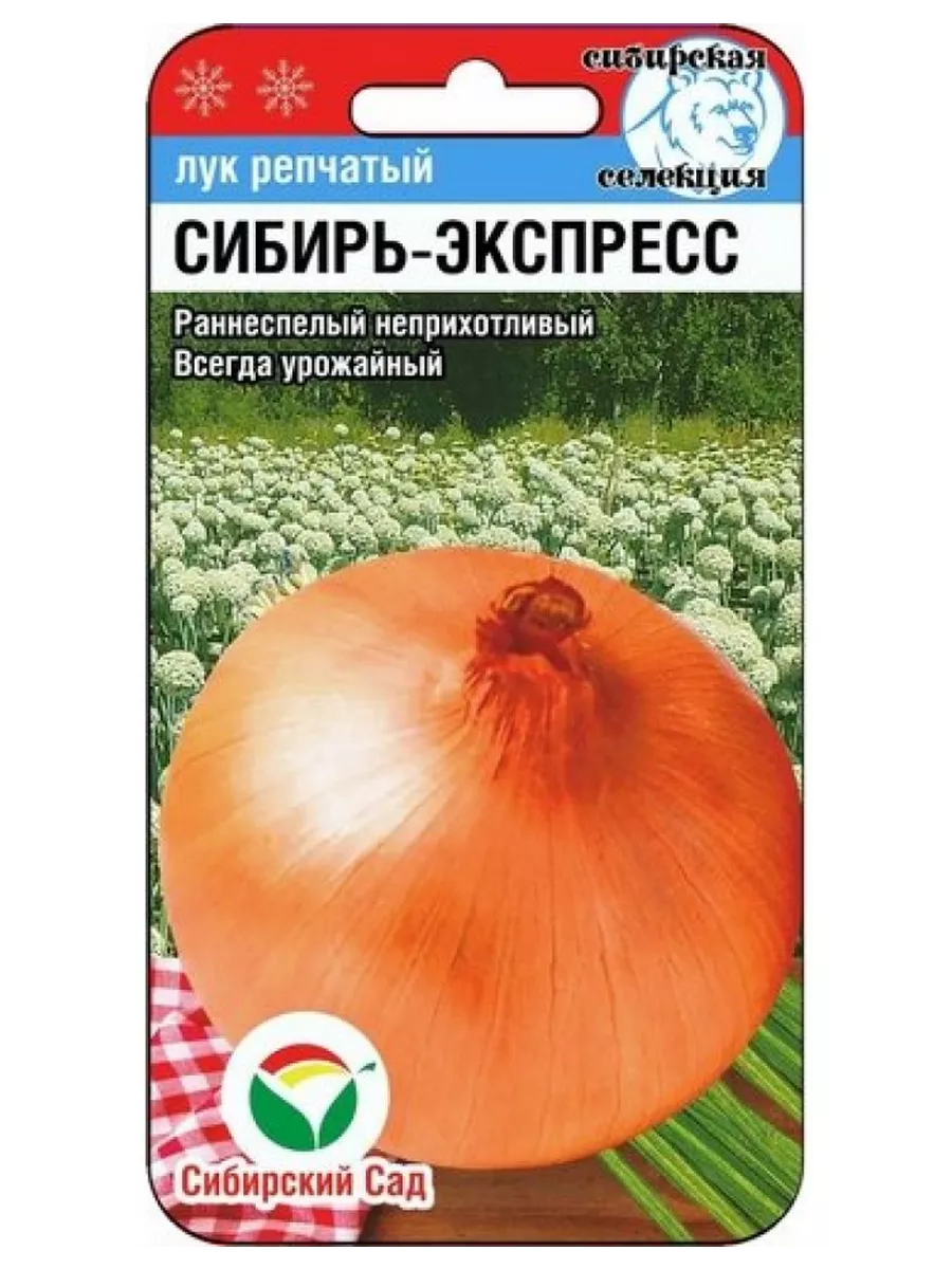 Лук репчатый Сибирь-Экспресс 1г Сибирский сад Ваш Дом и Сад 210477787  купить в интернет-магазине Wildberries