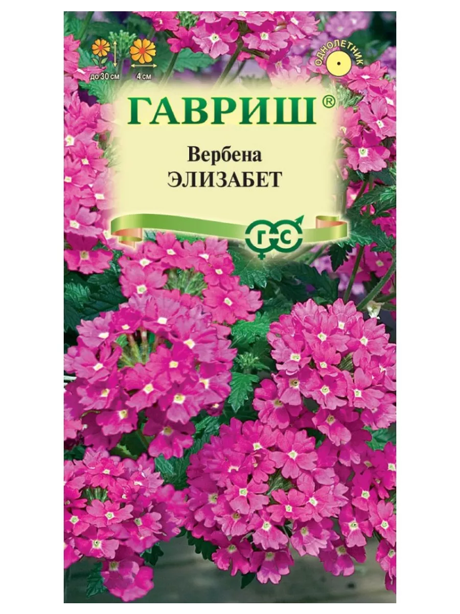 Вербена Профессиональные Семена Купить Оптом