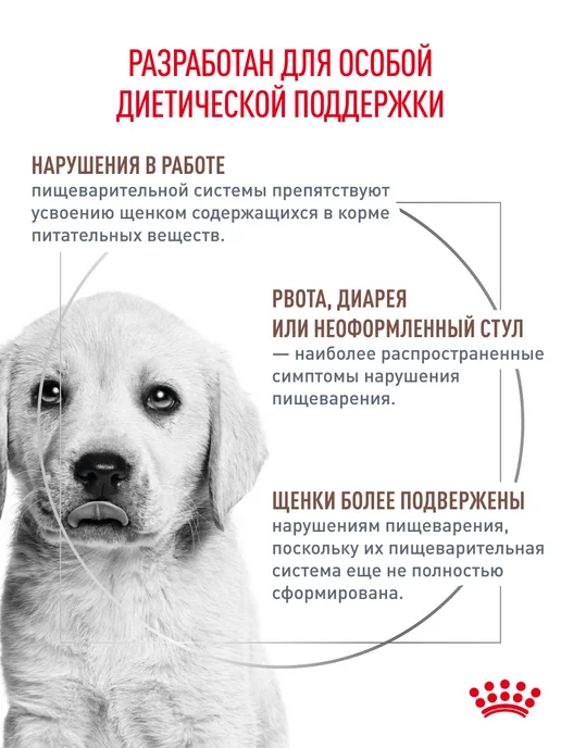 Сухой корм Royal canin Gastrointestinal Лечебный для собак, щенки, 1 кг, фото 2
