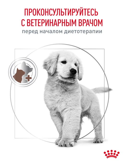 Сухой корм Royal canin Gastrointestinal Лечебный для собак, щенки, 1 кг, фото 8