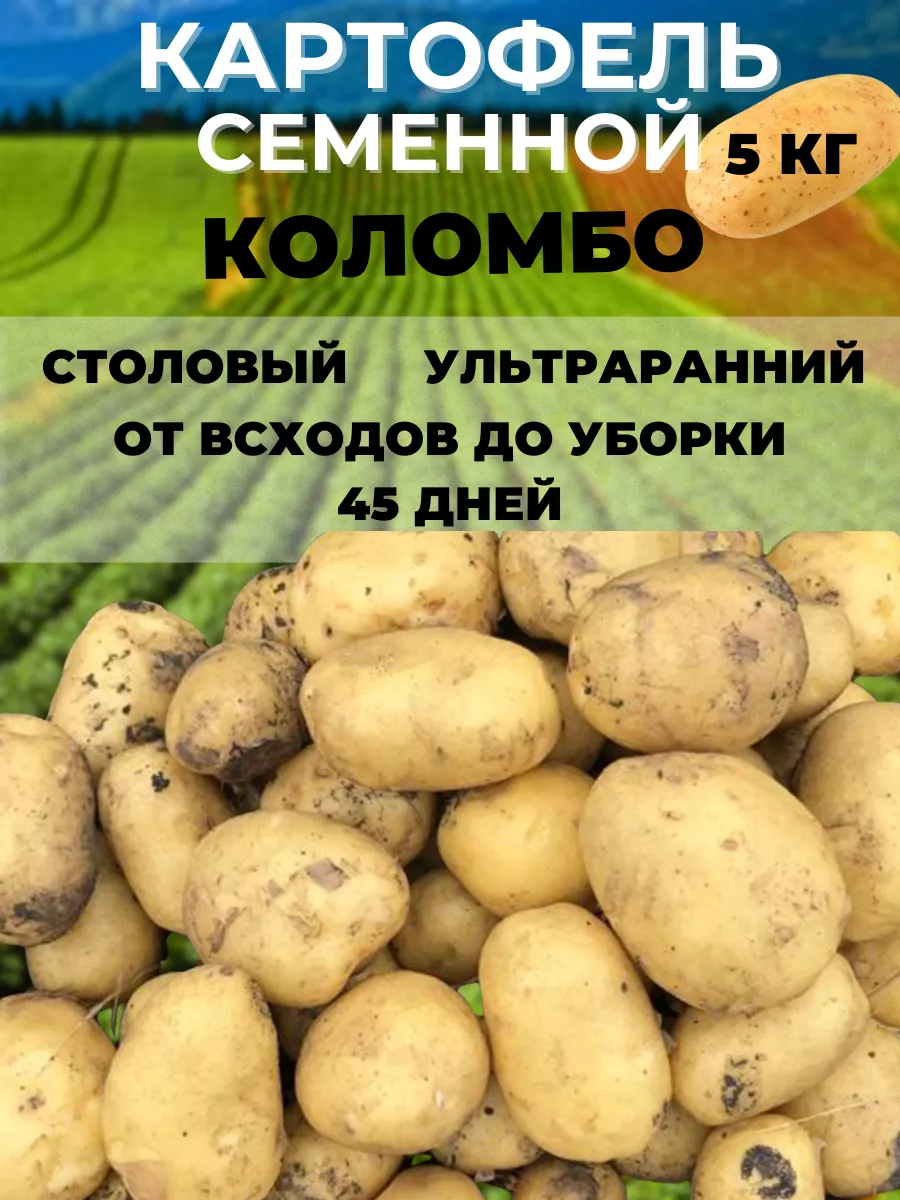 Где В Липецке Можно Купить Семенной Картофель