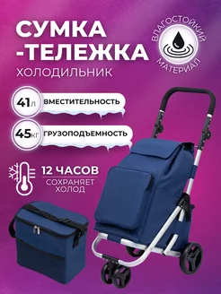 Сумка-тележка BR-302 с термосумкой хозяйственная 41 л Baruda 210561320 купить за 4 934 ₽ в интернет-магазине Wildberries