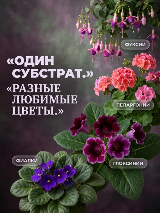 Botanica. Грунт земля для фиалок комнатных с перлитом 1,5 л, 1,5 л, фото 2