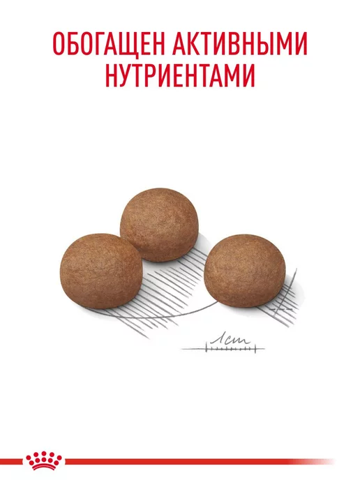 Сухой корм Royal canin Digestive для собак, средние, 12 кг, фото 5