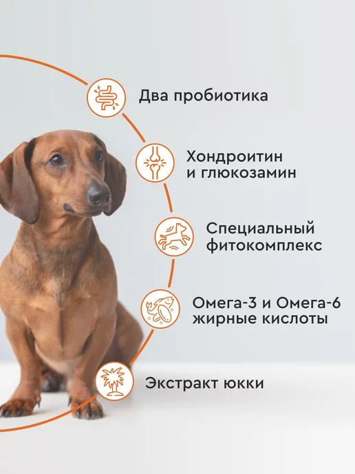 Сухой корм Secret for Pets для собак, мелкие, 1,8 кг, фото 2
