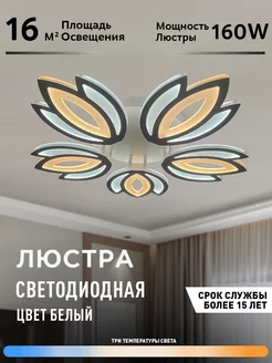 Люстра потолочная светодиодная c пультом Profit Light 210642979 купить за 2 938 ₽ в интернет-магазине Wildberries