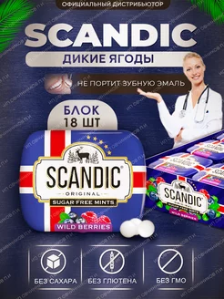 Лесные ягоды 18 штук SCANDIC 210698761 купить за 890 ₽ в интернет-магазине Wildberries