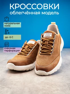 Кроссовки из натурального нубука MONTINI RICHI 210701614 купить за 3 559 ₽ в интернет-магазине Wildberries