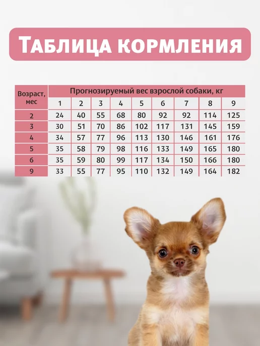 Сухой корм Secret for Pets для собак, мелкие, щенки, 12 кг, фото 8