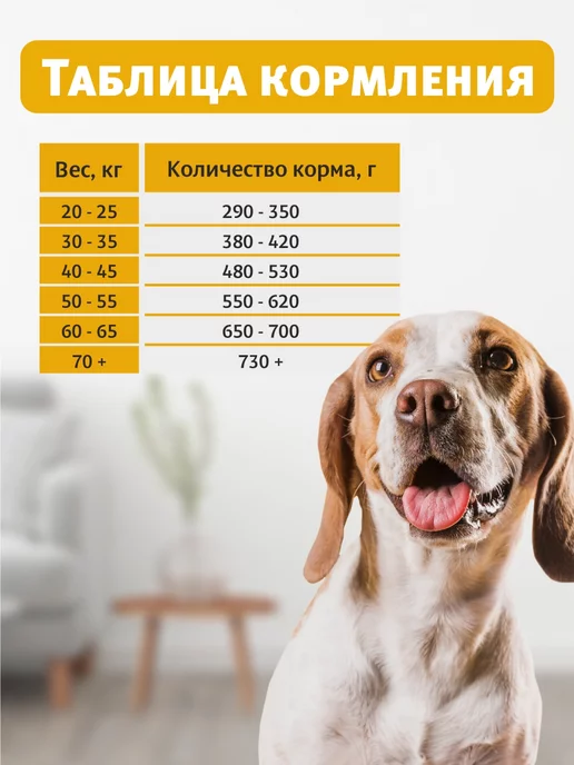 Сухой корм Secret for Pets Кожей Шерстью для собак, чувствительное пищеварение, 1,8 кг, фото 8