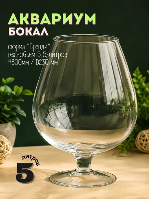 ZooAqua Аквариум бокал 5 литров для рыбок, петушка, круглый, белый