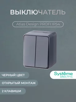 Выключатель 2-кл., антрацит Systeme Electric 210953545 купить за 406 ₽ в интернет-магазине Wildberries