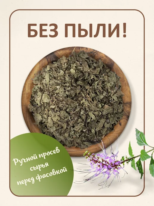 ФитоВэй Ортосифон тычиночный трава 120 гр почечный чай, сбор Индия, 120 г, фото 2