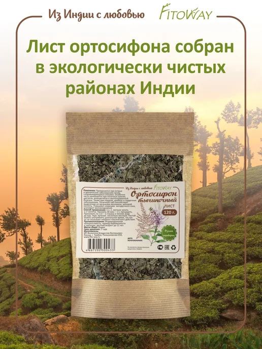 ФитоВэй Ортосифон тычиночный трава 120 гр почечный чай, сбор Индия, 120 г, фото 3