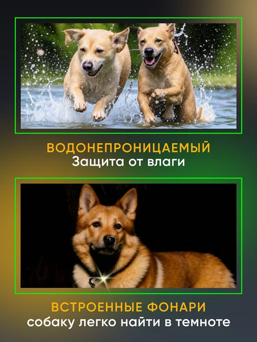 SVpets Ошейник электронный дрессировочный для собак электроошейник, вариант, фото 4