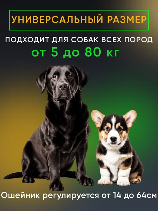 SVpets Ошейник электронный дрессировочный для собак электроошейник, вариант, фото 6