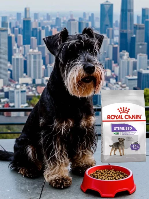 Сухой корм Royal canin Sterilised Малых для собак, мелкие, стерилизованные, 3 кг, фото 3