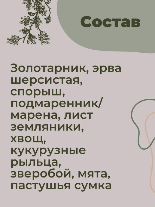 Магазин трав Земляника Растворение камней травяной сбор желчегонный для почек, вариант, фото 4