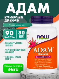 Комплекс витаминов "ADAM" NOW FOODS 211236194 купить за 1 512 ₽ в интернет-магазине Wildberries