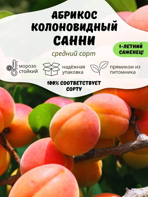 Как выбрать саженцы для посадки