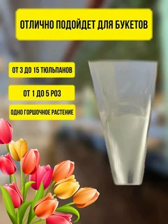 Пакет-конус прозрачный 24см*60см*7см (50шт) myfloroom 211248214 купить за 1 175 ₽ в интернет-магазине Wildberries