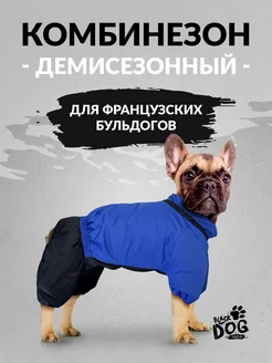 Комбинезон для французского бульдога BLACK DOG GROUP 211250156 купить за 1 053 ₽ в интернет-магазине Wildberries