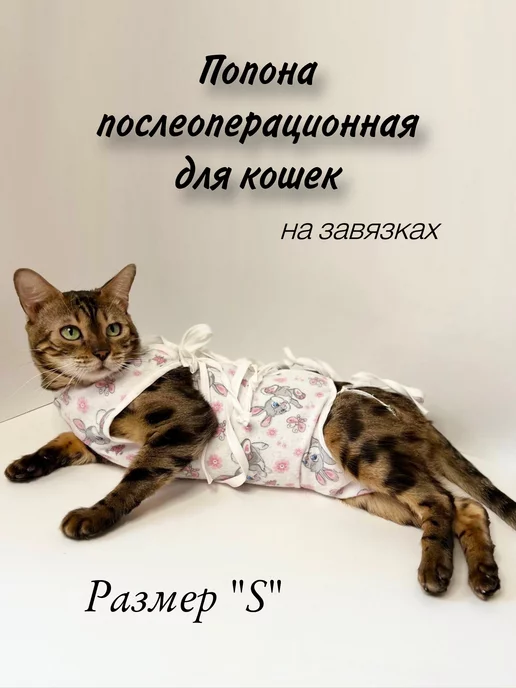 Попона послеоперационная для кошек, вариант
