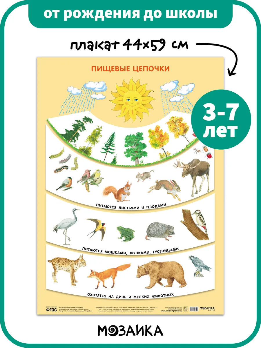 Развивающий плакат для детей в детский сад, экология 3+