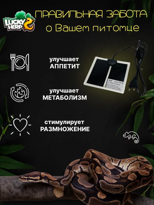 Lucky Herp Термоковрик для рептилий 5w греющий 14х15 см, 14x15 см, 5 Вт, фото 4