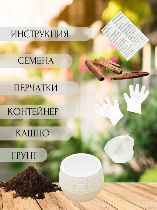 RuEl' Подарочный набор для выращивания цветов, Подарочный цветов, фото 2
