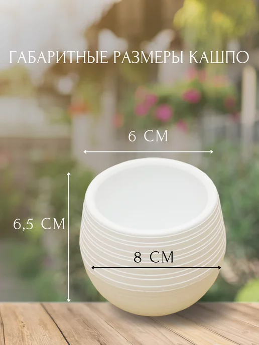 RuEl' Подарочный набор для выращивания цветов, Подарочный цветов, фото 3