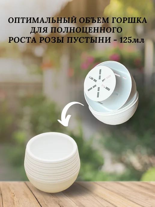 RuEl' Подарочный набор для выращивания цветов, Подарочный цветов, фото 4