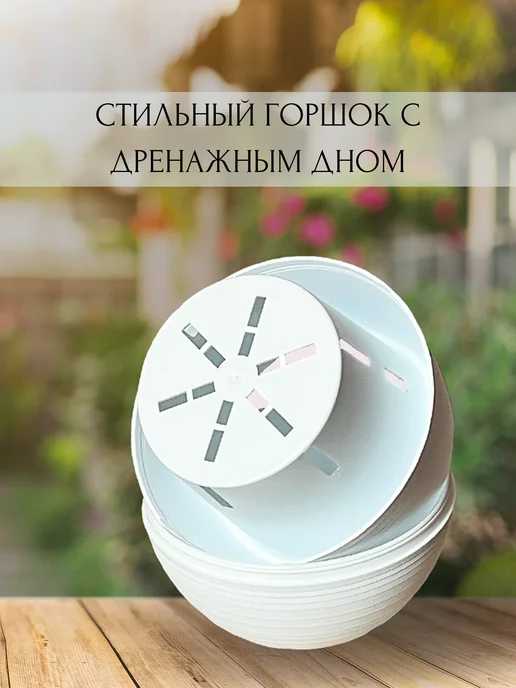 RuEl' Подарочный набор для выращивания цветов, Подарочный цветов, фото 5