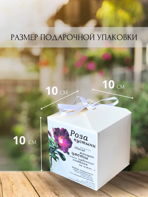 RuEl' Подарочный набор для выращивания цветов, Подарочный цветов, фото 6