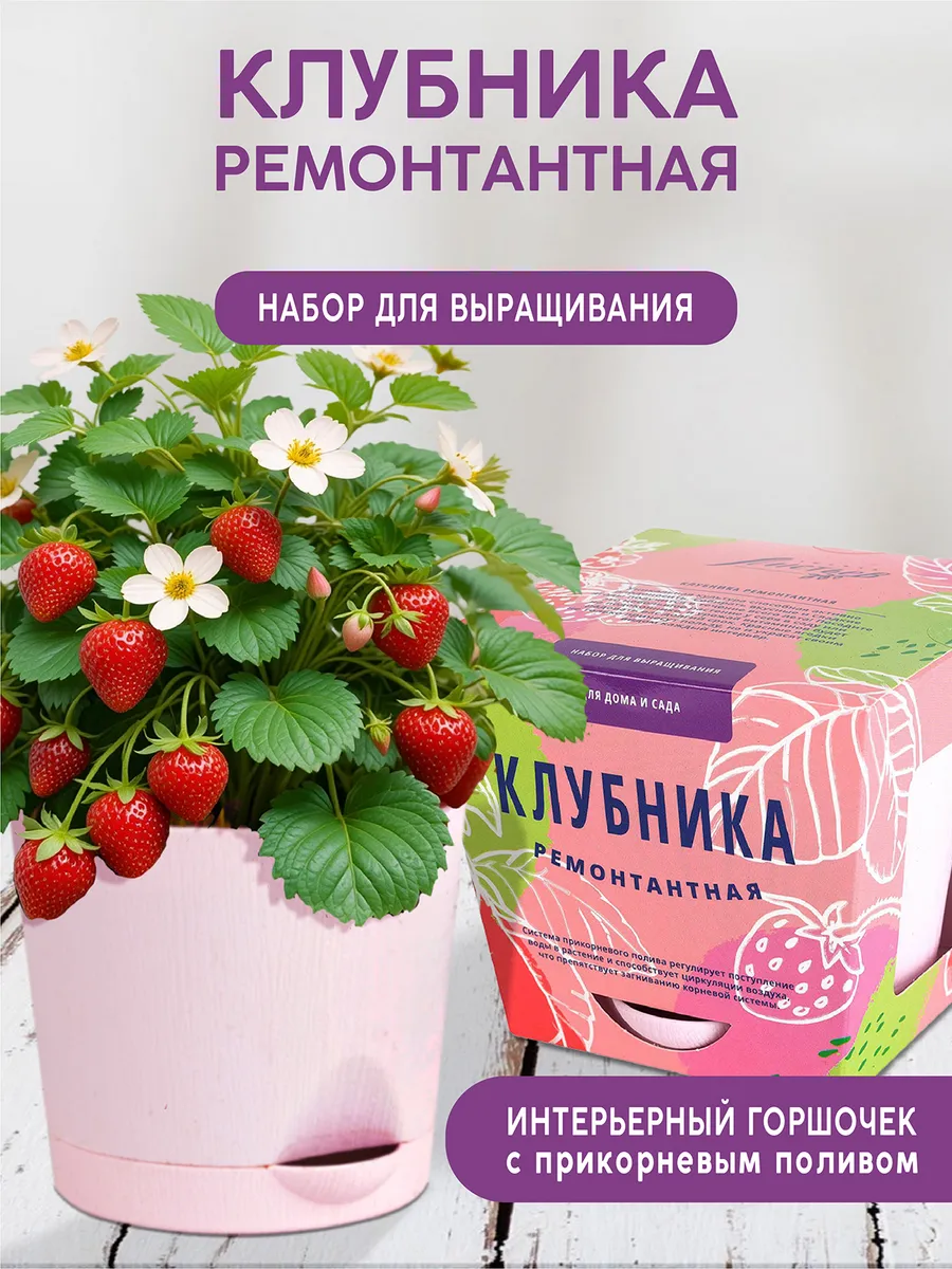 Клубника Набор для выращивания растений и цветов