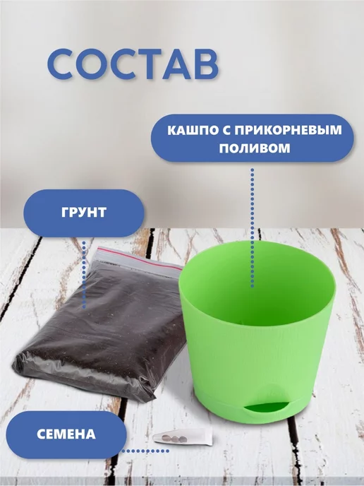 Тысяча Листьев Перец Мексиканец Набор для выращивания растений, вариант, фото 3