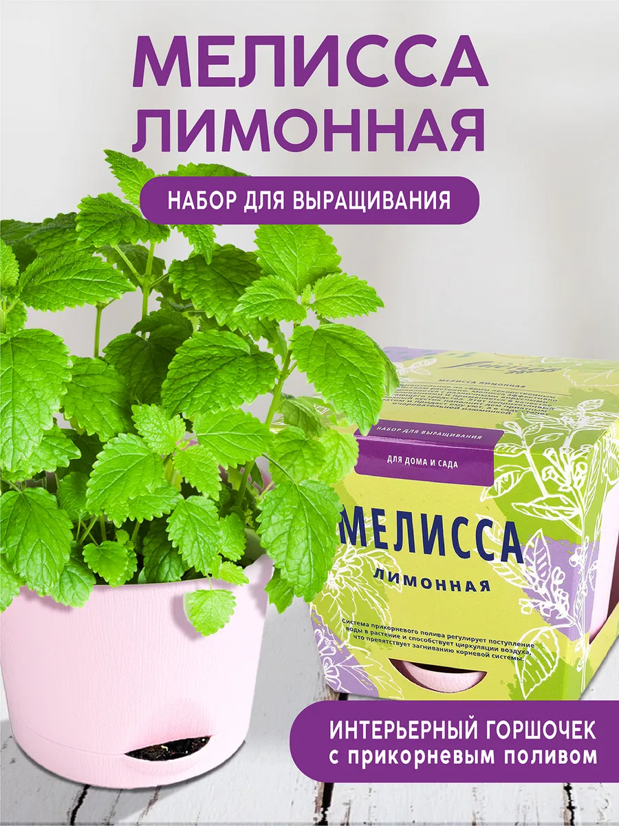 Мелисса Набор для выращивания растений и цветов