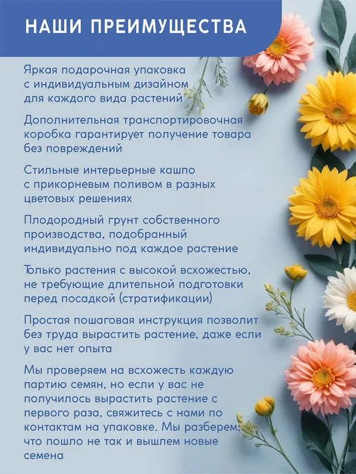Тысяча Листьев Инжир Набор для выращивания растений и цветов, вариант, фото 2