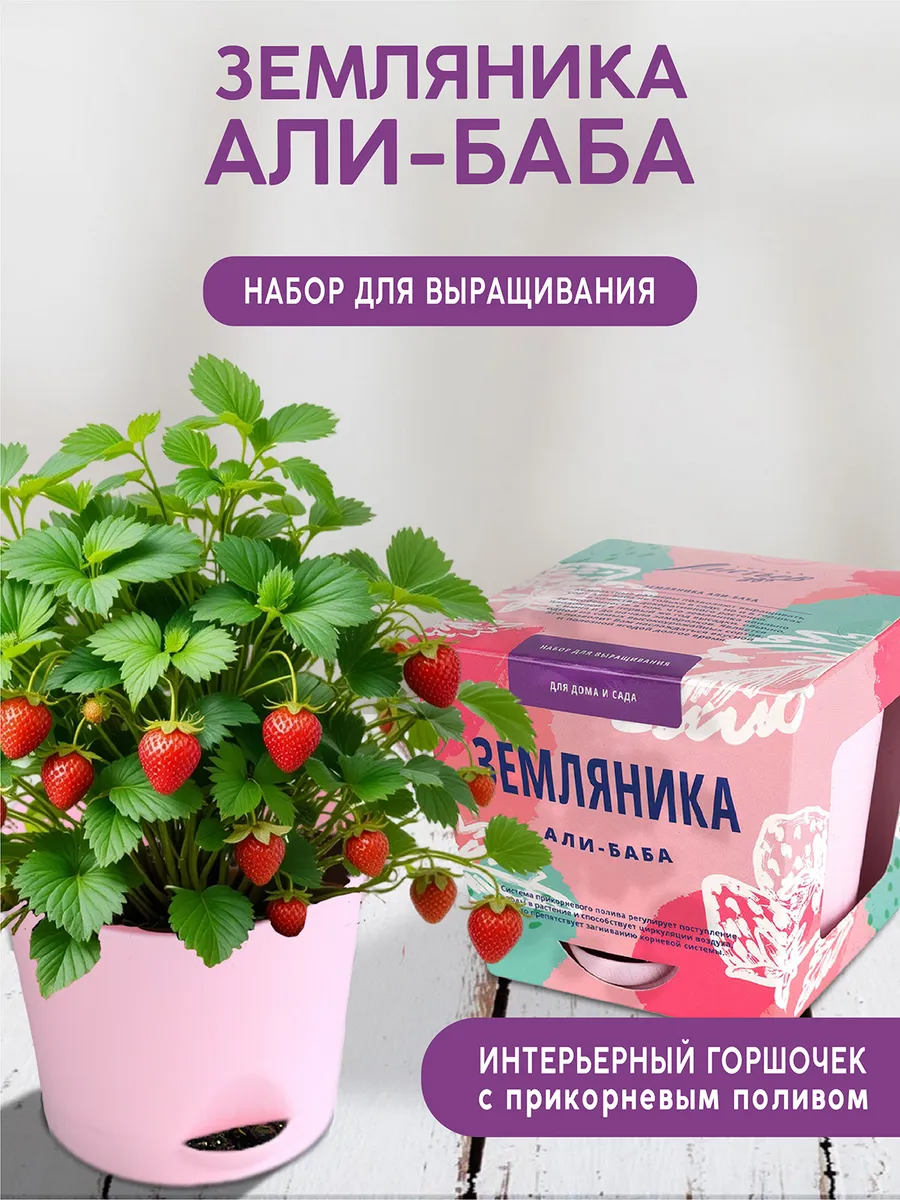 Земляника Али-баба Набор для выращивания растений