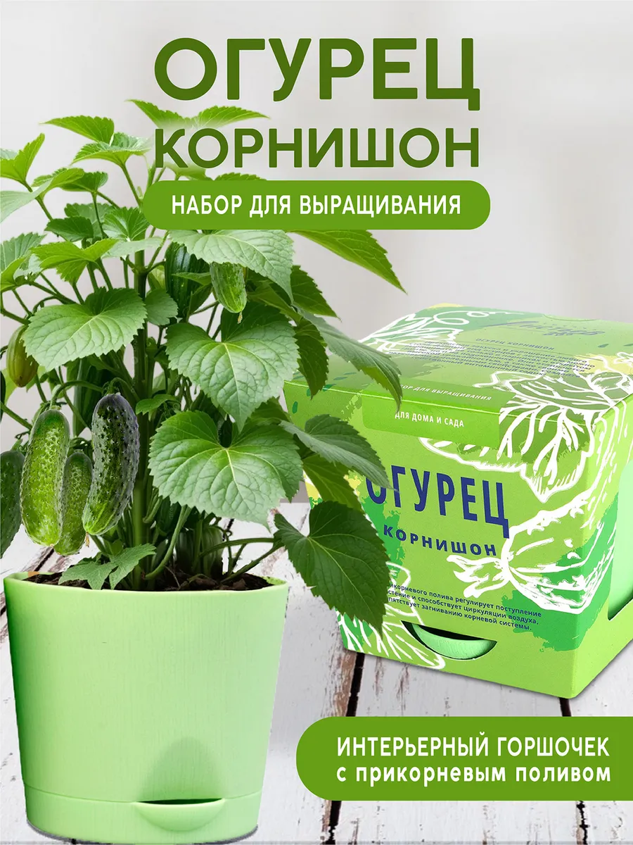 Огурец Набор для выращивания растений