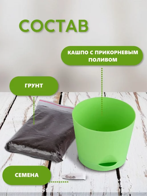 Тысяча Листьев Огурец Набор для выращивания растений, вариант, фото 3