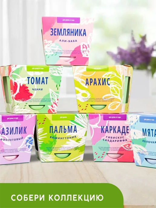 Тысяча Листьев Огурец Набор для выращивания растений, вариант, фото 7