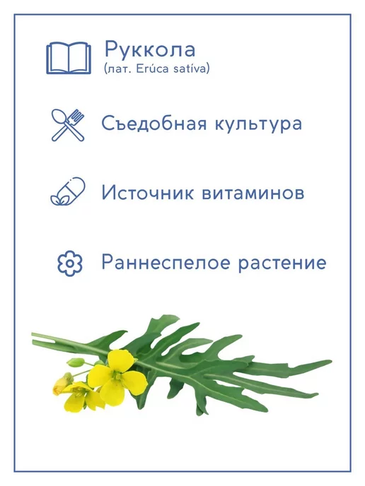 Тысяча Листьев Руккола Набор для выращивания растений, вариант, фото 4