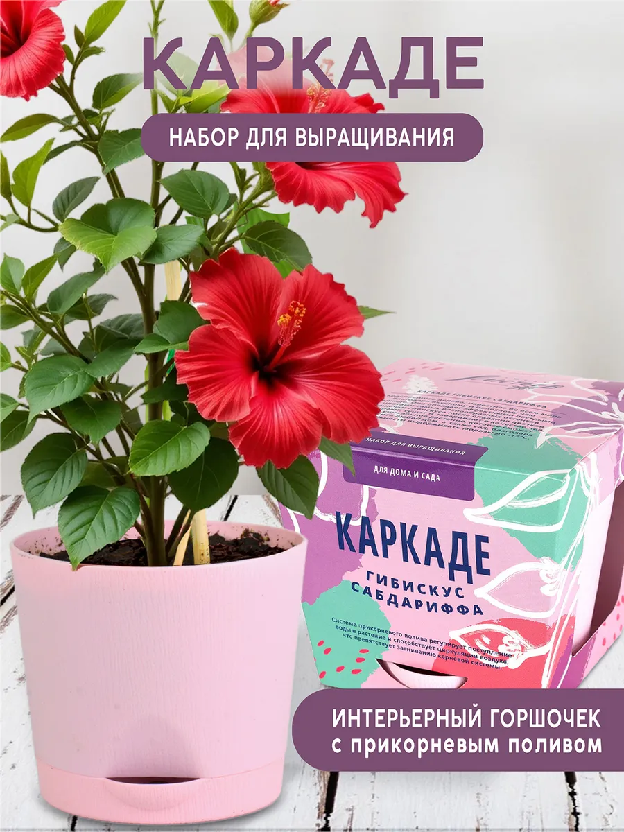Каркаде Набор для выращивания растений и цветов